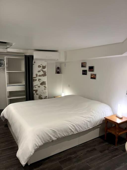 Appartement Climatise Albi - Centre מראה חיצוני תמונה